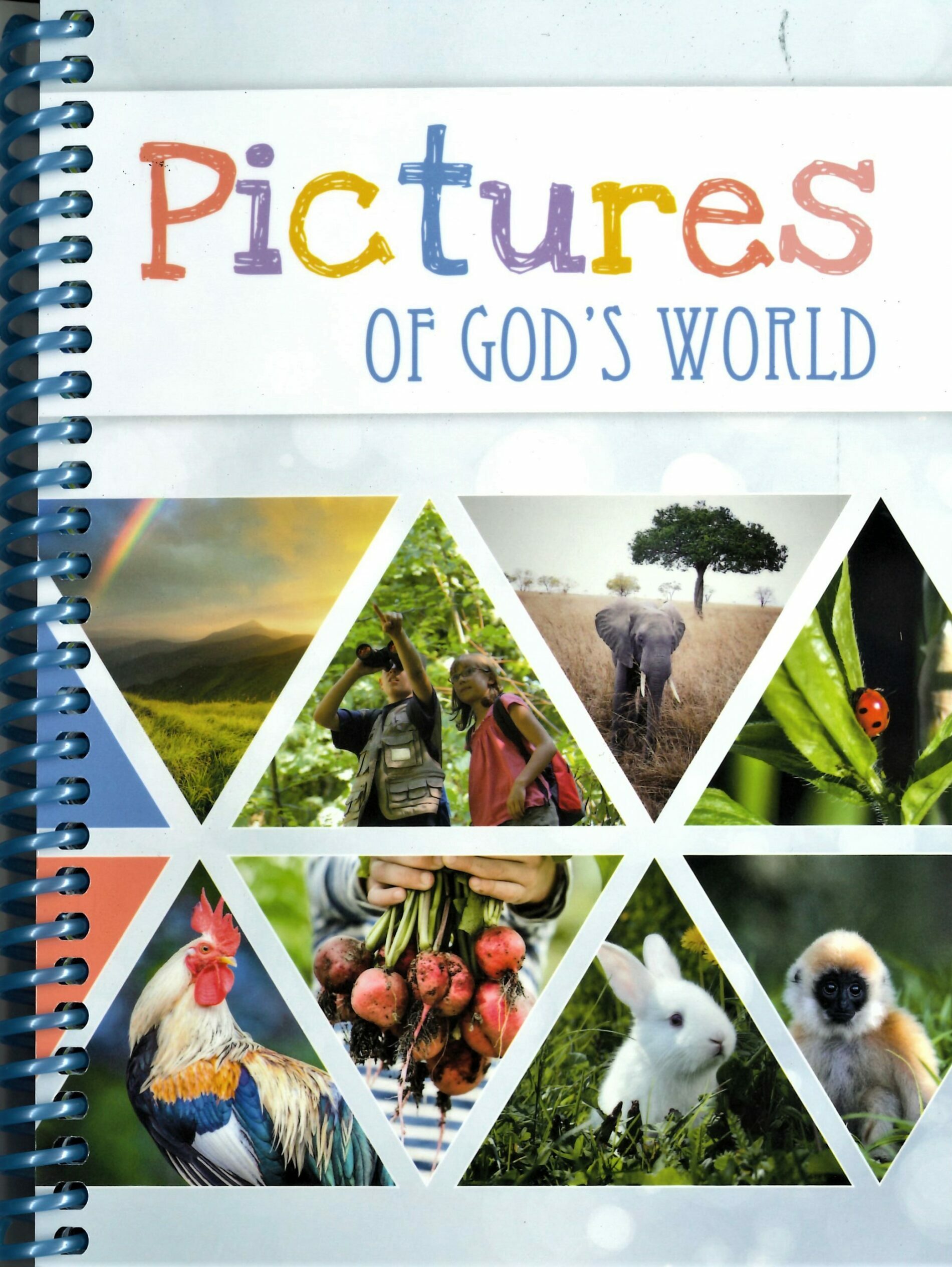 Pictures OF GOD'S WORLD - Home Messenger