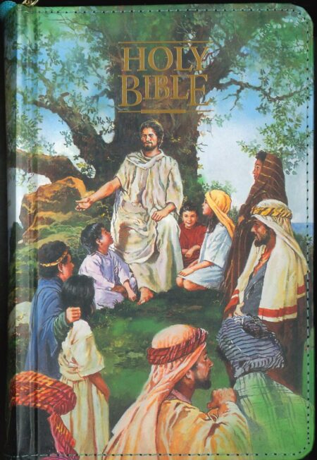 Seaside Bible for Children