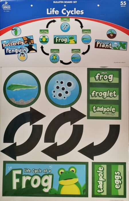 Life Cycles Bulletin Board Set