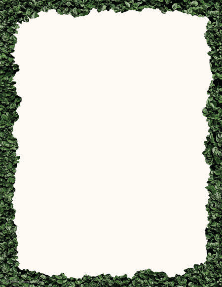 Modern Farmhouse Boxwood Computer Paper