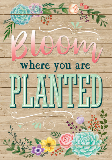Rustic Bloom, Bloom Where You Are Planted Poster