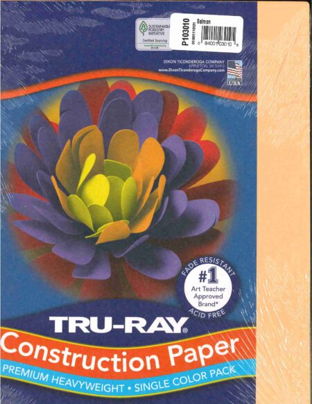 Construction Paper Salmon